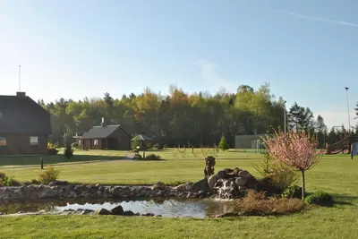 a dog sitting in a pond in a yard at Girele in Šiauliai