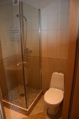a bathroom with a toilet and a glass shower at Girele in Šiauliai