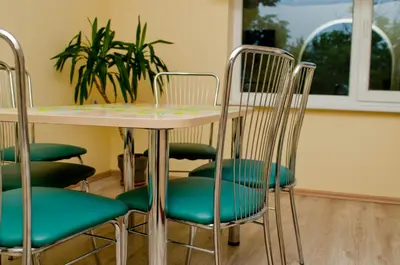 a table and chairs with a plant in a room at Vijuandra in Zarasai