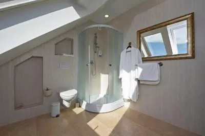 a bathroom with a shower and a toilet at Prie Žiedo in Trakai
