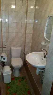 a bathroom with a toilet and a sink at Aido ir Jovitos sodyba Jorunas in Kernavė
