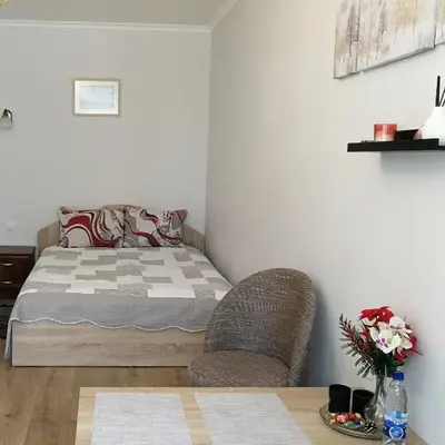 Šiauliai City Apartment