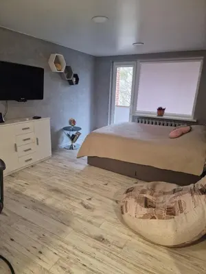 a bedroom with a bed and a large window at Alanta in Druskininkai