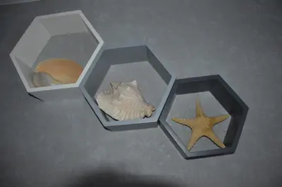 two hexagonal boxes with a shell and a starfish at Alanta in Druskininkai