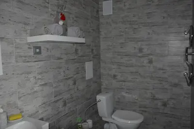 a bathroom with a white toilet and a sink at Alanta in Druskininkai