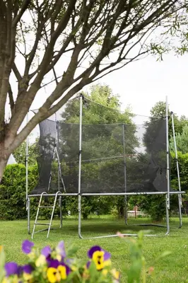 a net in a field with a tree and flowers at Mamos virtuve in Avižieniai