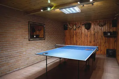 a ping pong table in a room with a brick wall at Mamos virtuve in Avižieniai