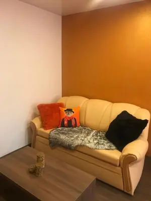 a couch with pillows on it in a room at Trumpalaikė buto nuoma Rokiškyje su jacuzzi in Rokiškis
