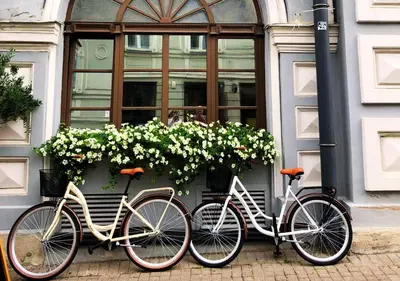 three bikes parked in front of a building with flowers at St Palace Hotel in Vilnius
