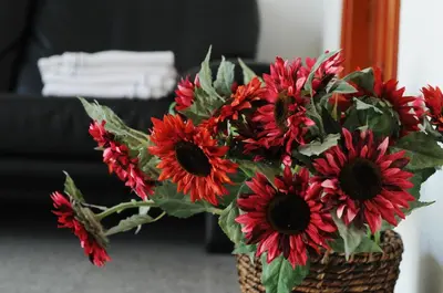 a bouquet of red flowers in a wicker basket at Amicus Hotel in Vilnius