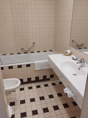 a bathroom with a sink and a tub and a toilet at Perkuno Namai Park Hotel in Kaunas