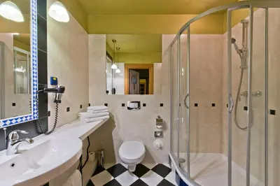 a bathroom with a shower and a sink and a toilet at BEST BALTIC Hotel Druskininkai Central in Druskininkai