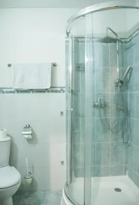 a bathroom with a shower and a toilet at In Astra in Vilnius