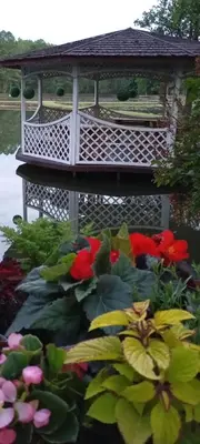 a gazebo with a bunch of flowers in a garden at Gazdų Vandens Malūnas in Navininkai