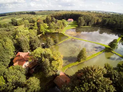 an aerial view of a lake with trees and a house at Gazdų Vandens Malūnas in Navininkai