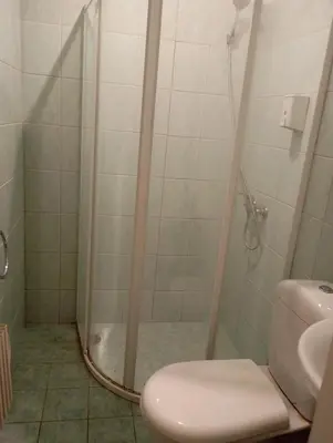 a bathroom with a shower with a toilet and a sink at Gazdų Vandens Malūnas in Navininkai