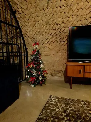 a christmas tree in a room with a tv at Unique Old Town Apartment in Vilnius