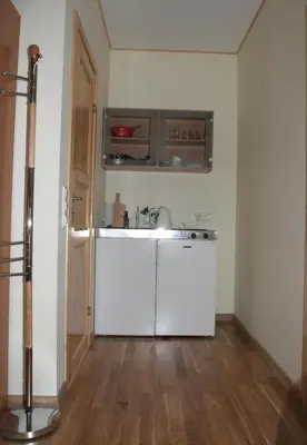 a kitchen with a white refrigerator and a sink at Love Island Guesthouse in Druskininkai