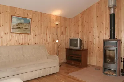 a living room with a couch and a wood stove at Love Island Guesthouse in Druskininkai