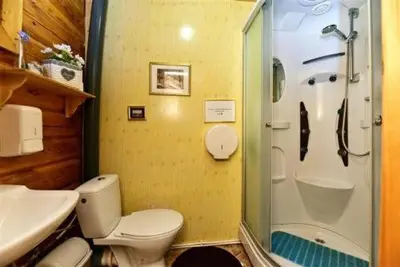 a bathroom with a toilet and a shower and a sink at Sodyba Sauletekis in Ignalina