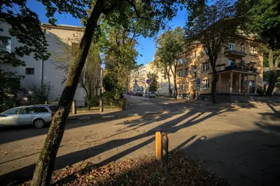 a street with a tree and buildings and a car at K-Town - City Center Park Studio in Kaunas