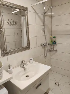 a white bathroom with a sink and a shower at Apartment Dalyce in Šiauliai