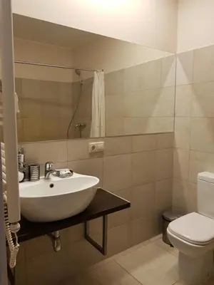 a bathroom with a sink and a toilet at Rezidencija Grįžulo ratai in Sasnava