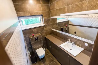 a small bathroom with a sink and a toilet at Villa Orchidea in Šakiai