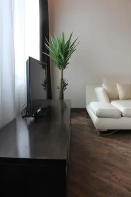a living room with a tv and a couch at Apartamentai Kauno centre in Kaunas