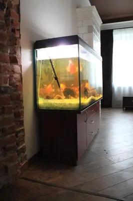a large fish tank sitting on a stand in a room at Apartamentai Kauno centre in Kaunas