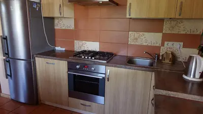 a kitchen with a stove and a stainless steel refrigerator at Raudonkalnis in Mankiškiai