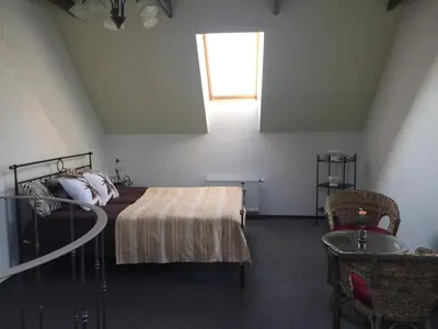 a bedroom with a bed and a window at Villa Traku Terasa in Trakai