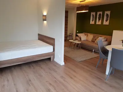 a room with a bed and a couch and a table at Felix Apartment Free parking in Vilnius
