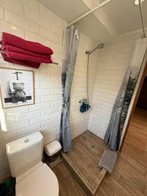 a bathroom with a toilet and a shower at Felix Apartment Free parking in Vilnius