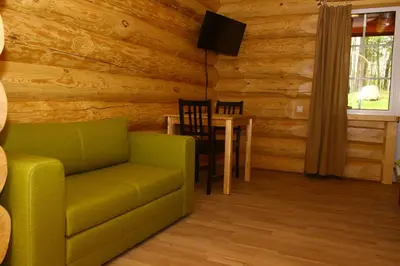 a living room with a green couch and a table at Asvejos slenis in Sužionys