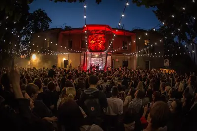 a crowd of people watching a concert at night at Downtown Forest Hostel & Camping in Vilnius