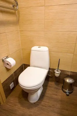 a bathroom with a white toilet in a room at Agneta Apartamentai in Druskininkai