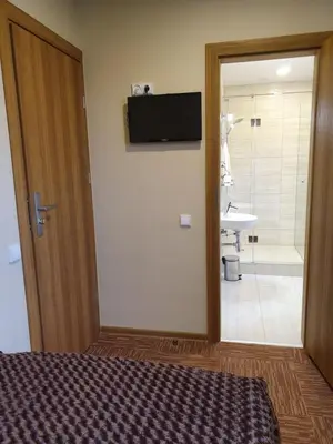 a room with a bed and a bathroom with a shower at Šolena in Alytus