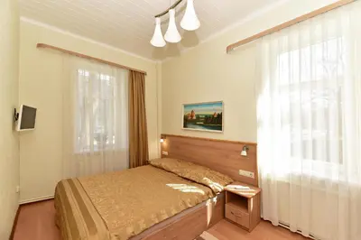 a bedroom with a bed and a window at Dalija in Druskininkai