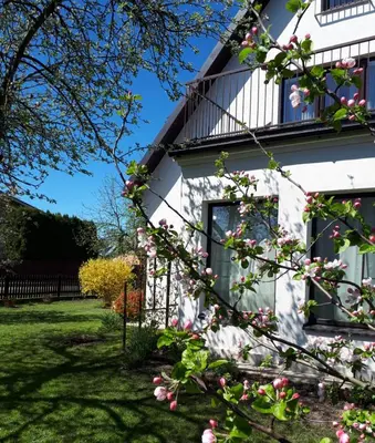 a white house with pink flowers in the yard at Dina Apartments in Druskininkai