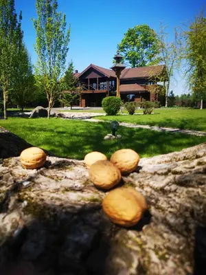 a pile of mushrooms on a rock in front of a house at Graikinė in Kėdainiai