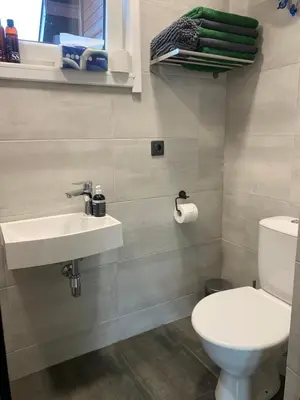 a bathroom with a white toilet and a sink at Graikinė in Kėdainiai