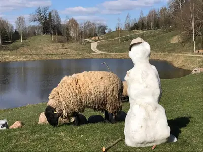a snowman and a sheep standing next to a snow man at Prūsiškių dvaras in Sumiliszki