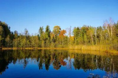 a view of a lake with trees in the background at Prūsiškių dvaras in Sumiliszki