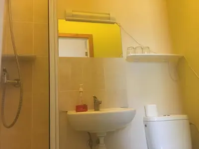a bathroom with a sink and a mirror and a toilet at Parko Vila in Druskininkai