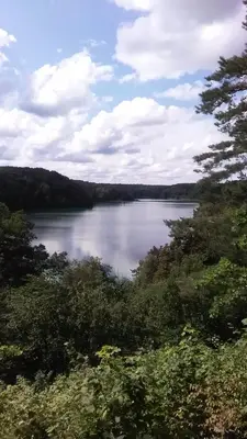 a view of a lake with trees and a sky at Ginto svetingi namai in Vilnius