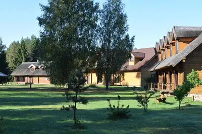 a house with a tree in front of it at Trakų vienkiemis in Daumilai