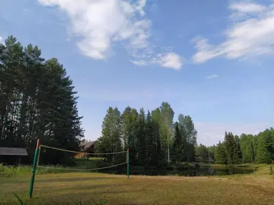 a net in the middle of a field with trees at Trakų vienkiemis in Daumilai
