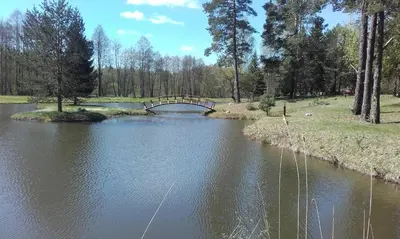 a bridge over a river in a park at Trakų vienkiemis in Daumilai