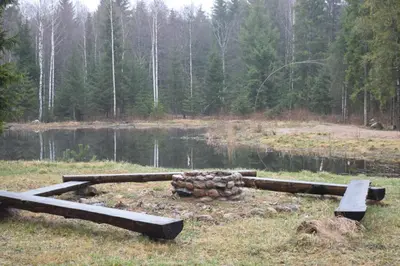 a pile of logs in a field next to a body of water at Trakų vienkiemis in Daumilai